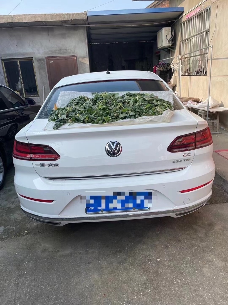 南通19年大眾CC7