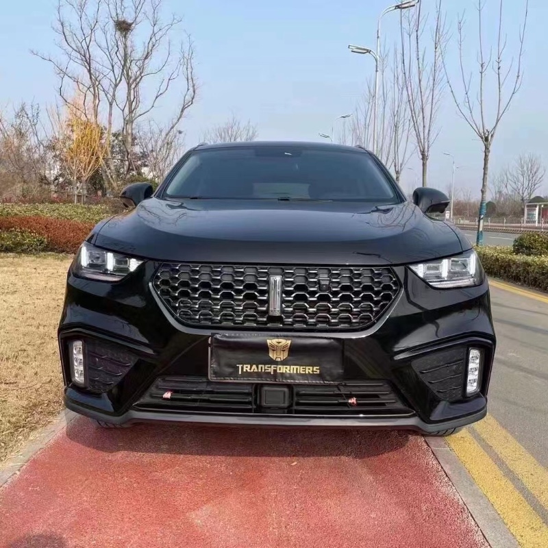 聊城20年長城VV51