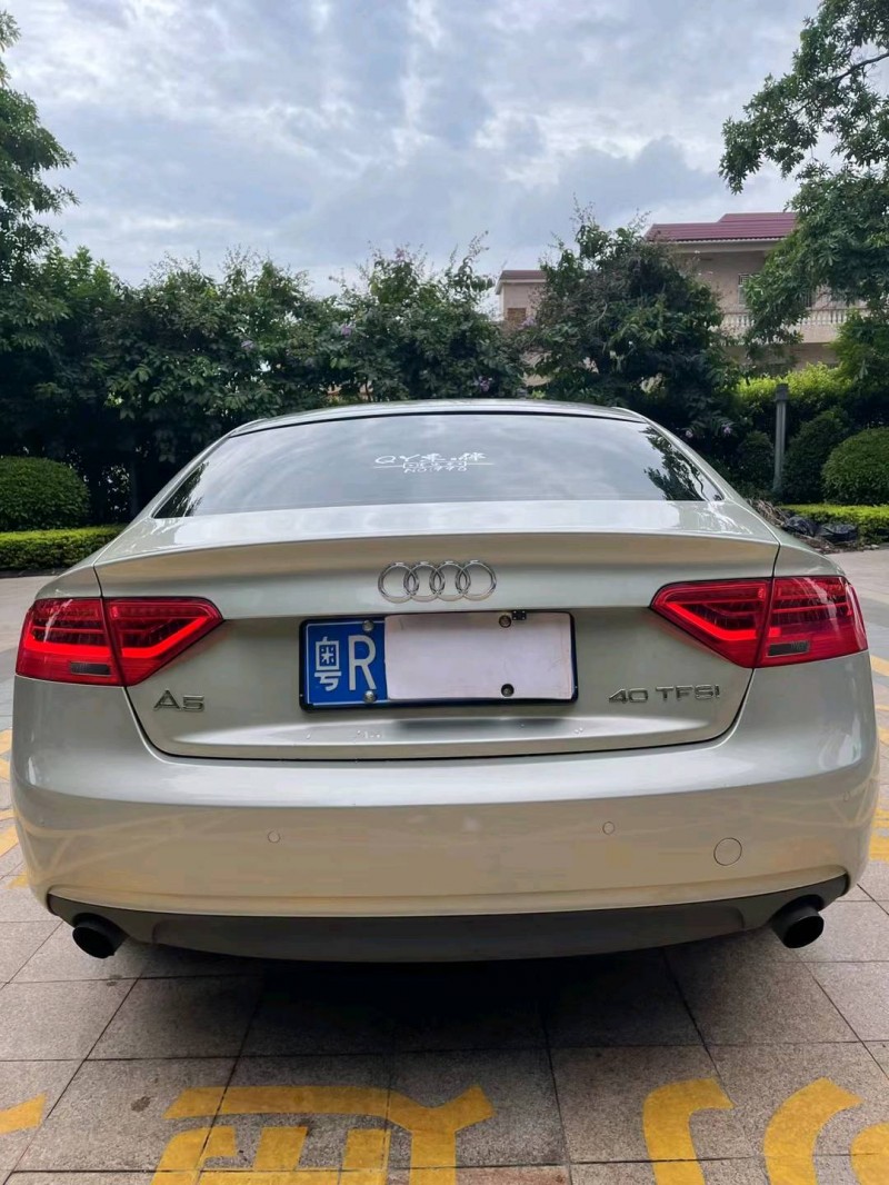 中山13年奧迪A52