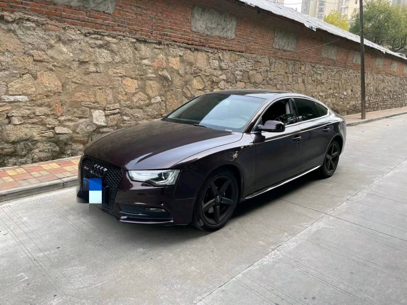 阜陽13年奧迪A57