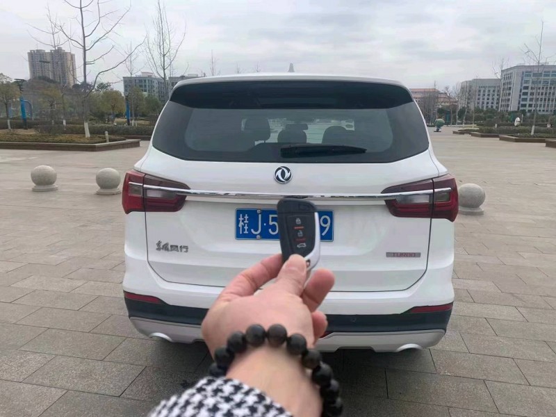南寧19年東風景逸6