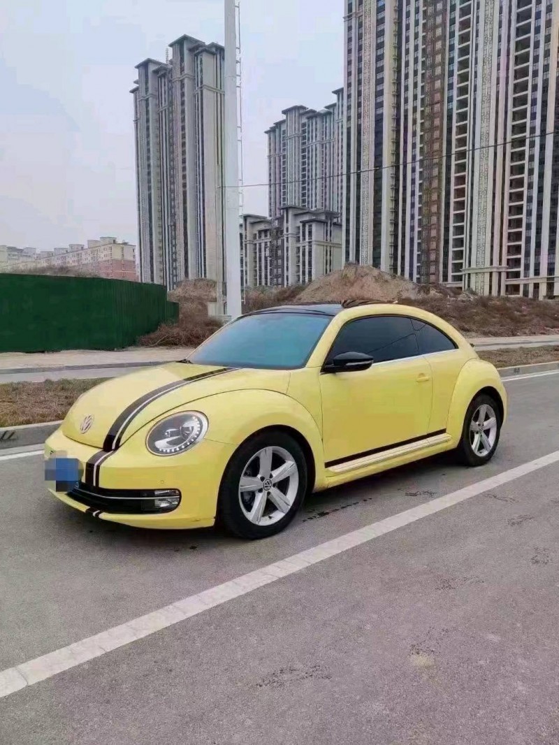 大同14年大眾甲殼蟲6