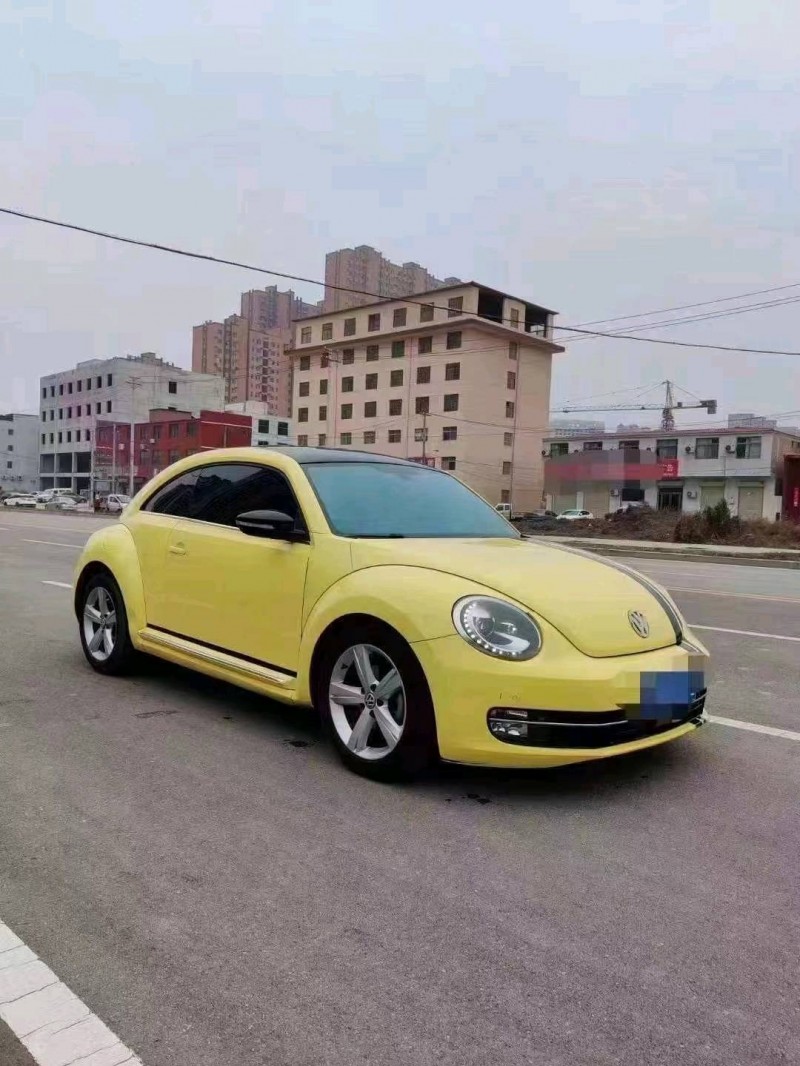 大同14年大眾甲殼蟲5