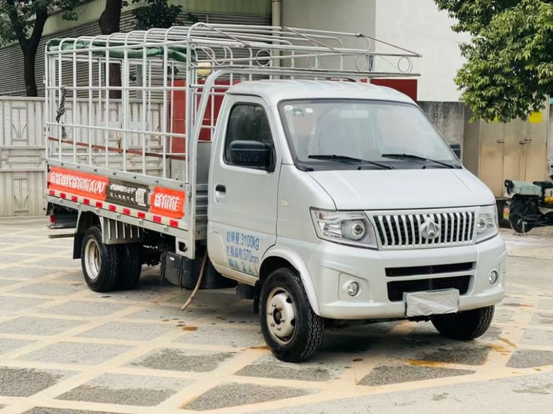 東莞20年長安汽車神騏T202