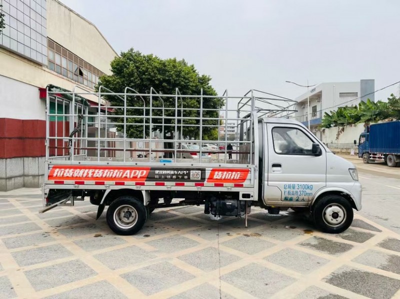 東莞20年長安汽車神騏T207