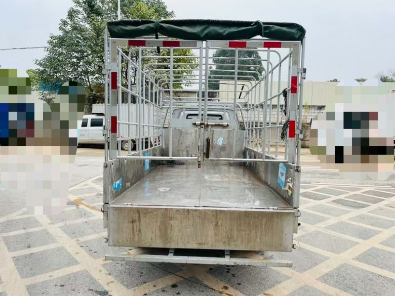 東莞20年長安汽車神騏T209