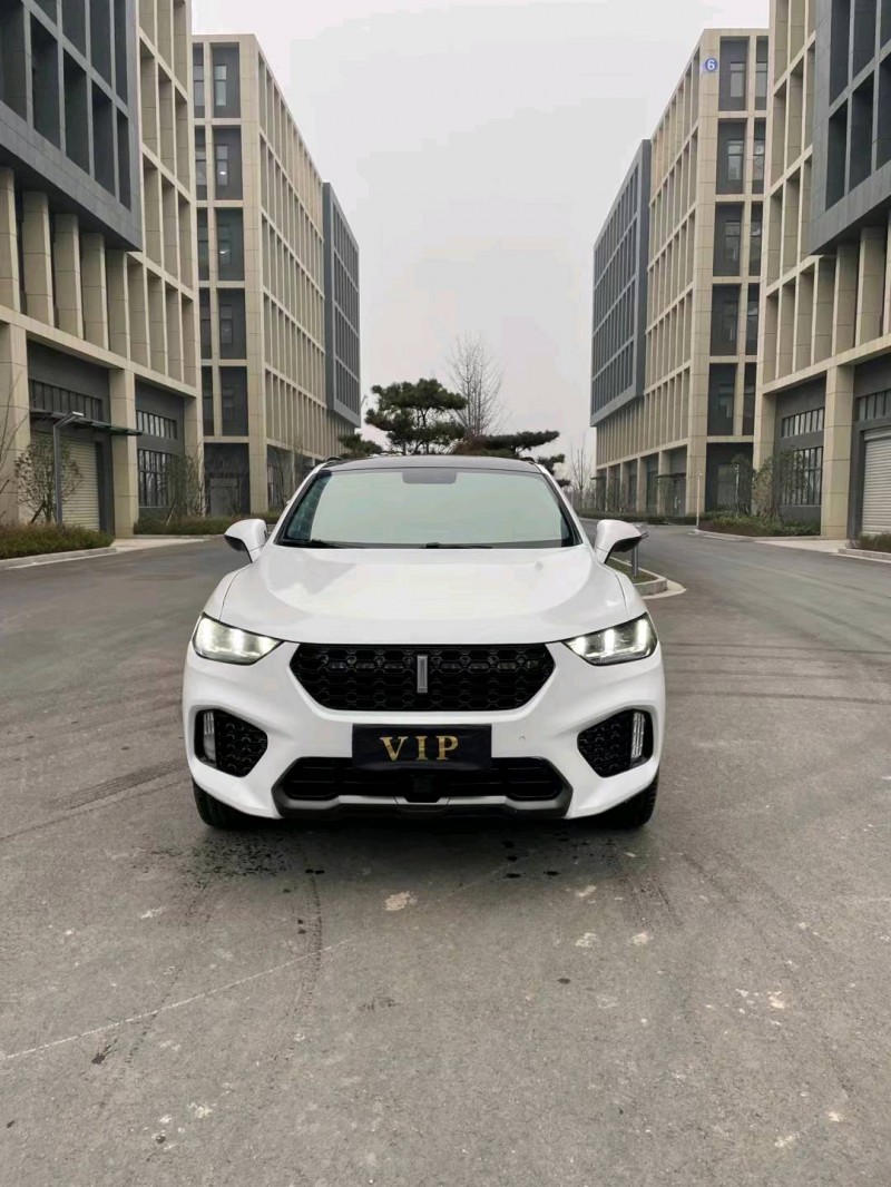 徐州17年长城VV51