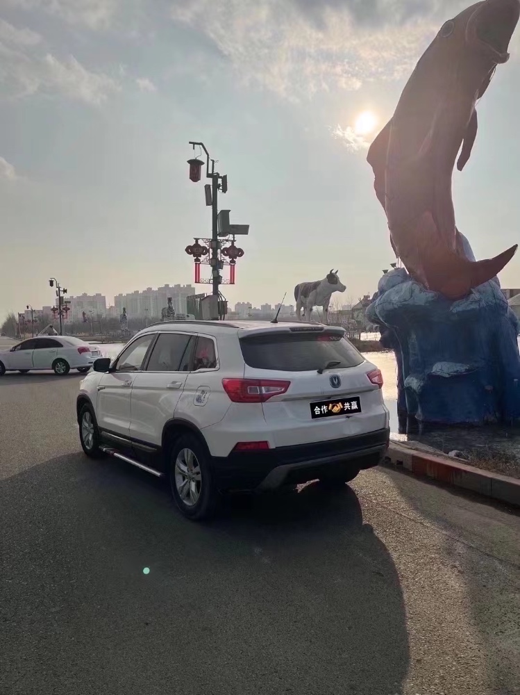滄州14年長安汽車CS754