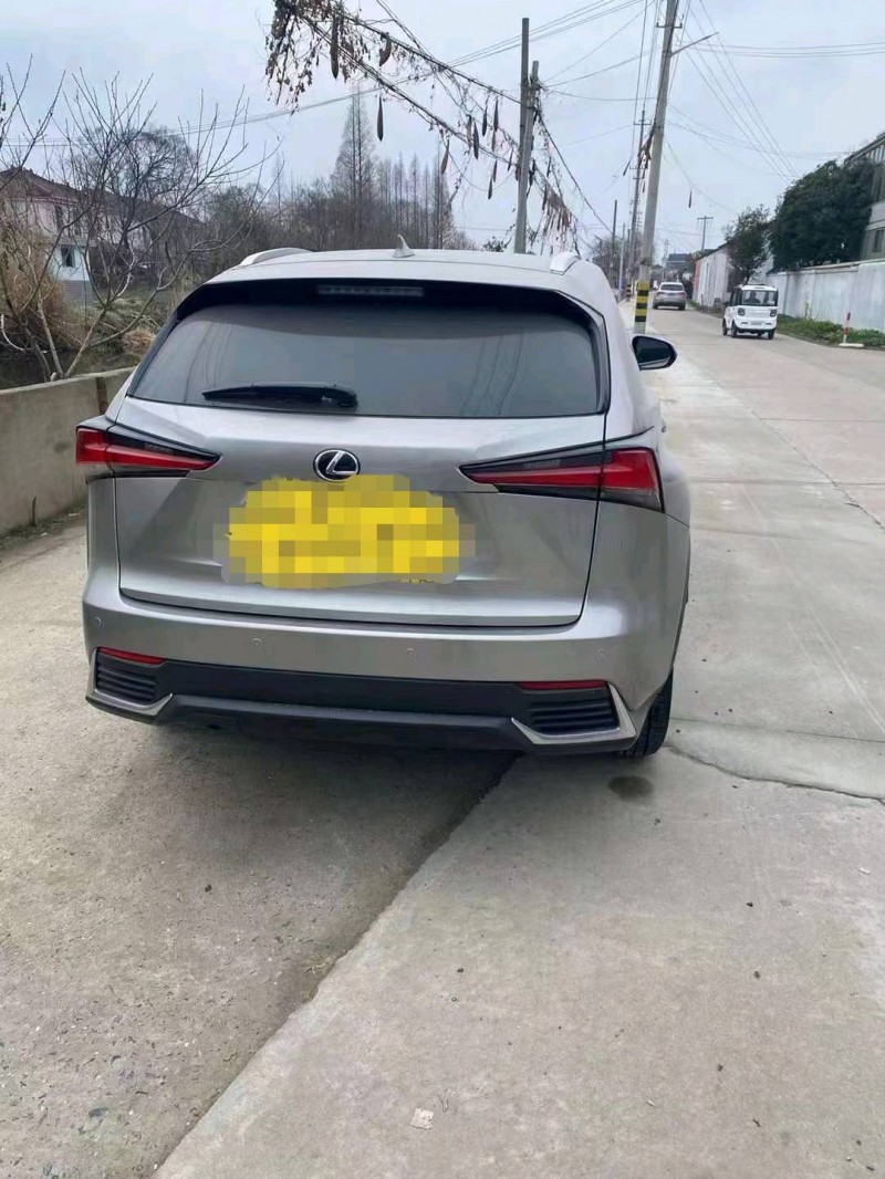 連云港19年雷克薩斯NX8