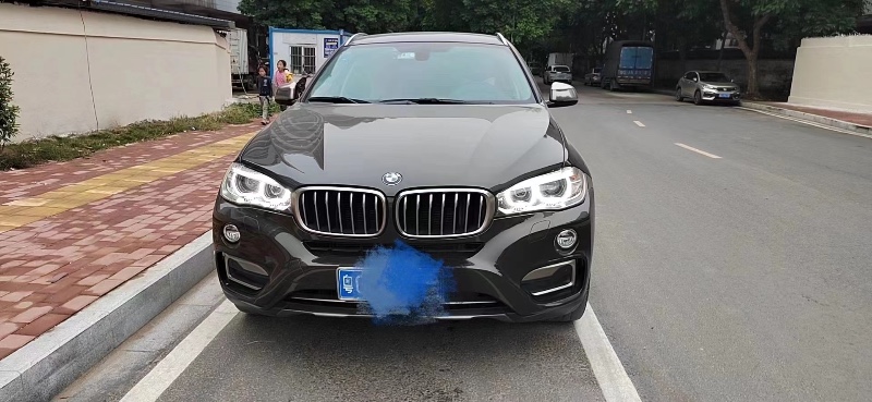 广州17年宝马X66