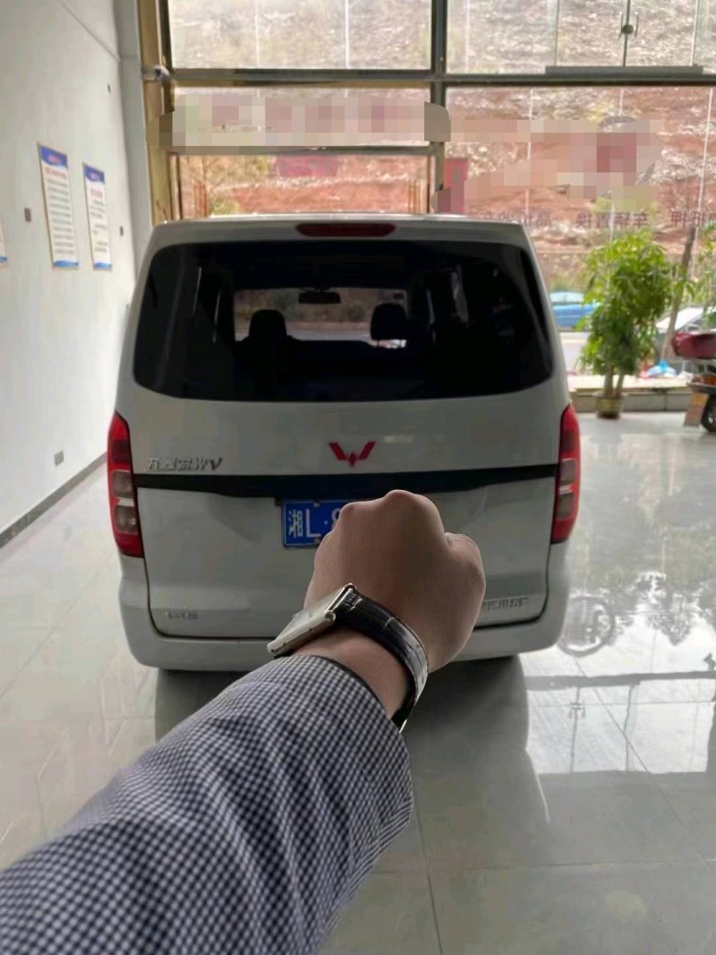岳陽20年五菱汽車宏光6