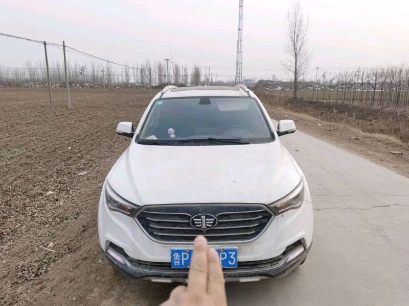 聊城19年奔騰X401