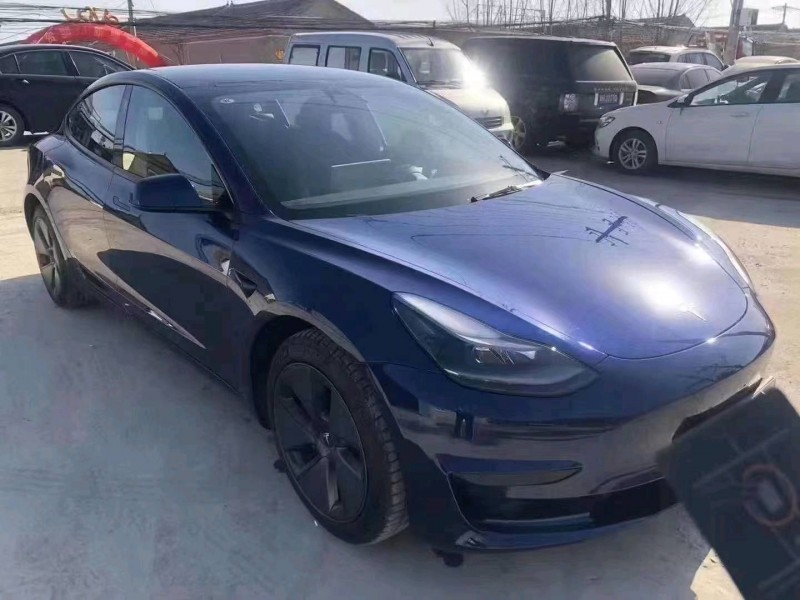 天津20年特斯拉MODEL 32