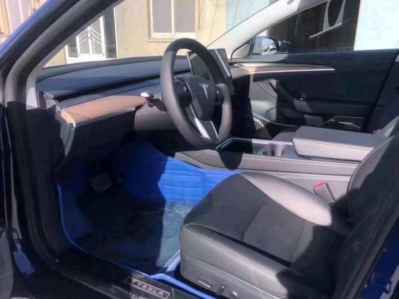 天津20年特斯拉MODEL 33