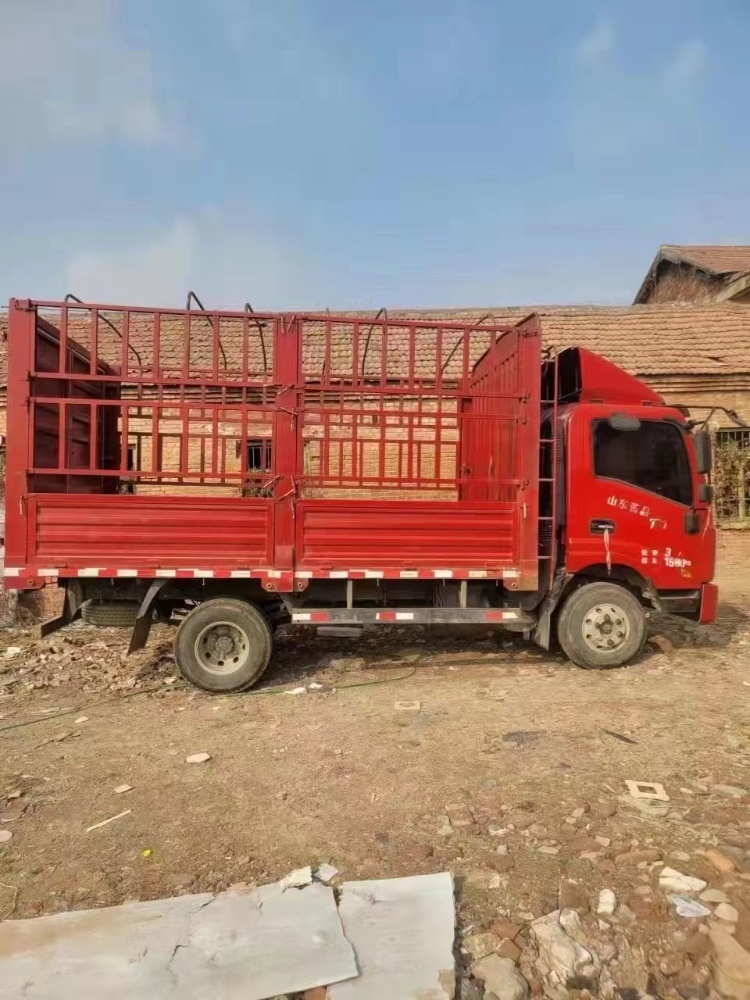 北京19年唐骏汽车唐骏轻卡2