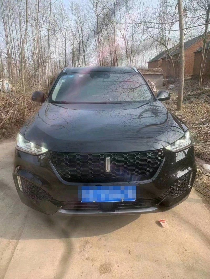 淮安19年長城VV61