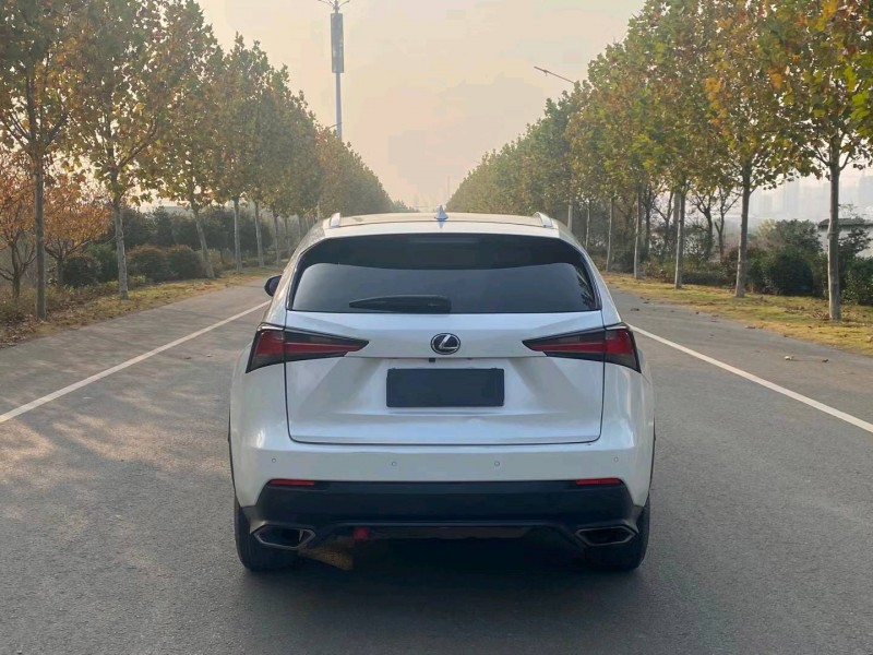 徐州18年雷克萨斯NX9