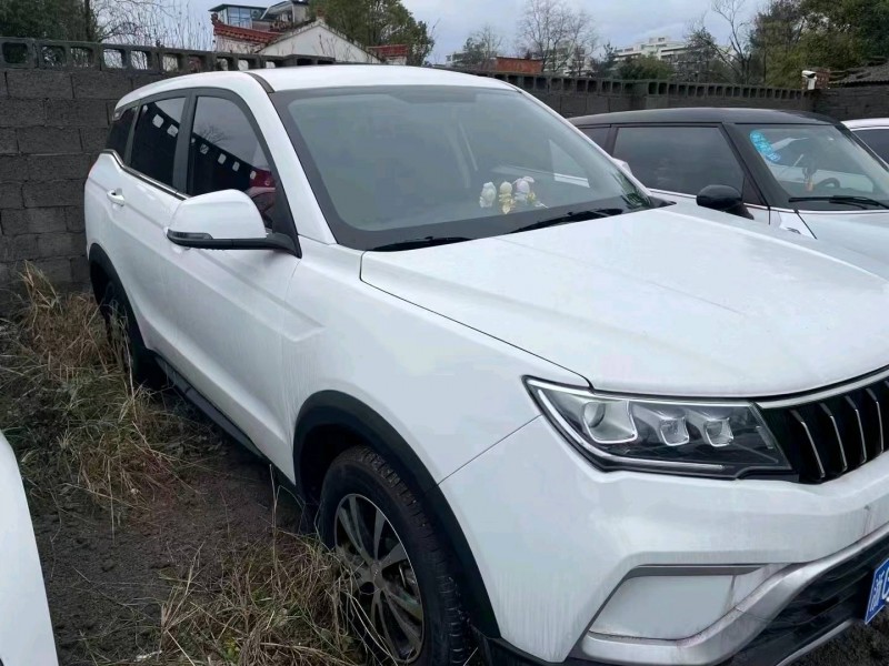 金華21年野馬汽車博駿3