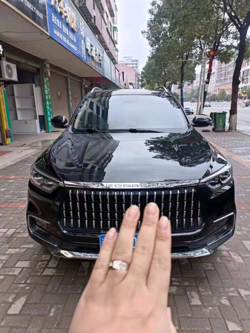 常德19年獵豹汽車邁途1