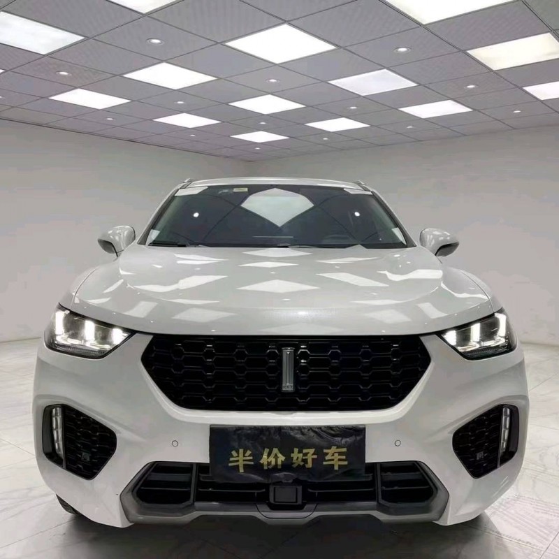 成都19年WEYVV51