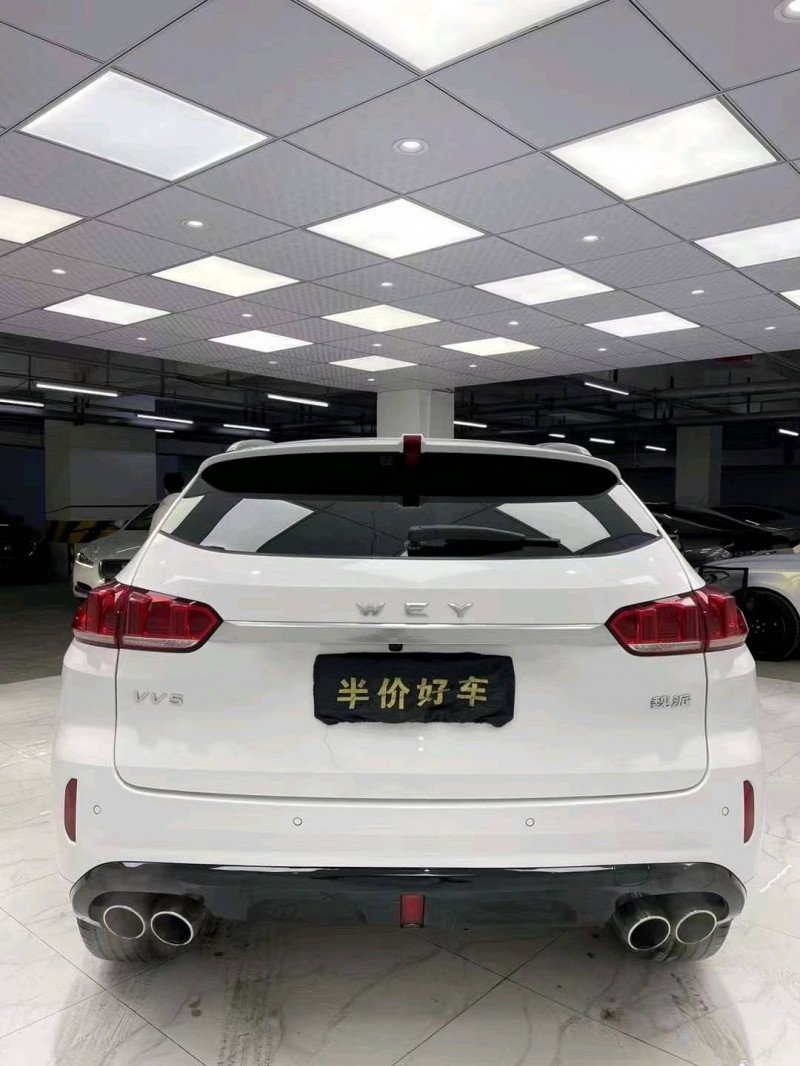 成都19年WEYVV55