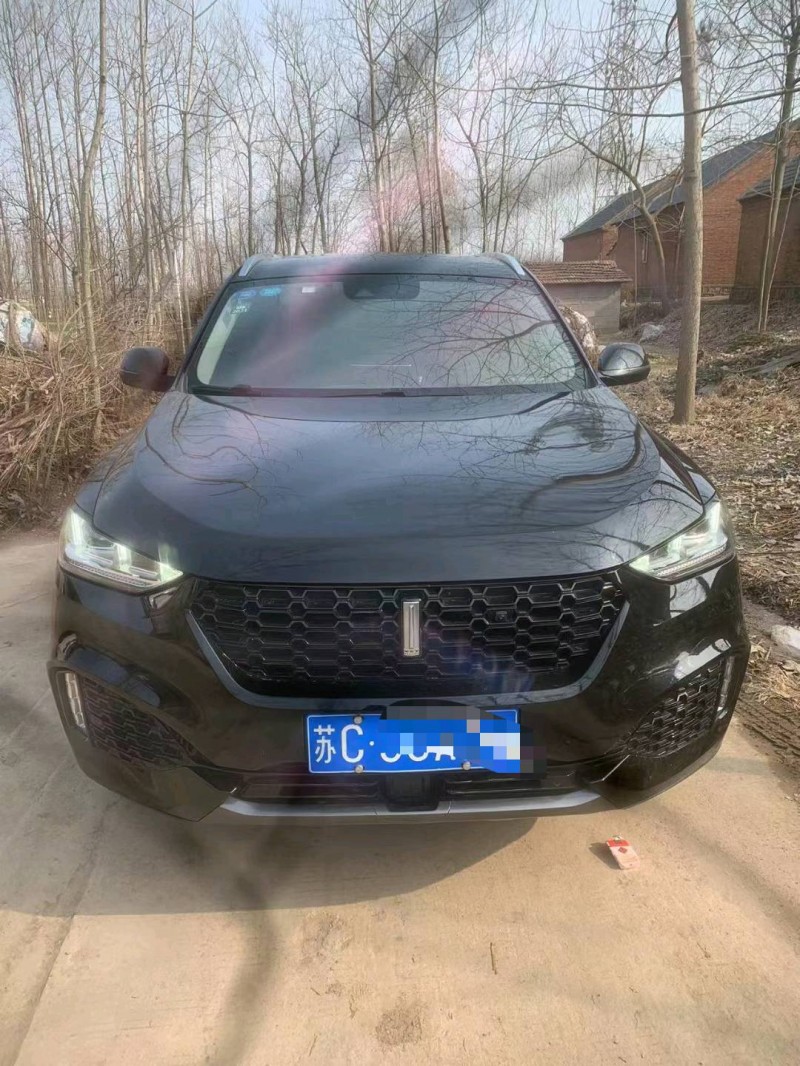 徐州19年长城VV61