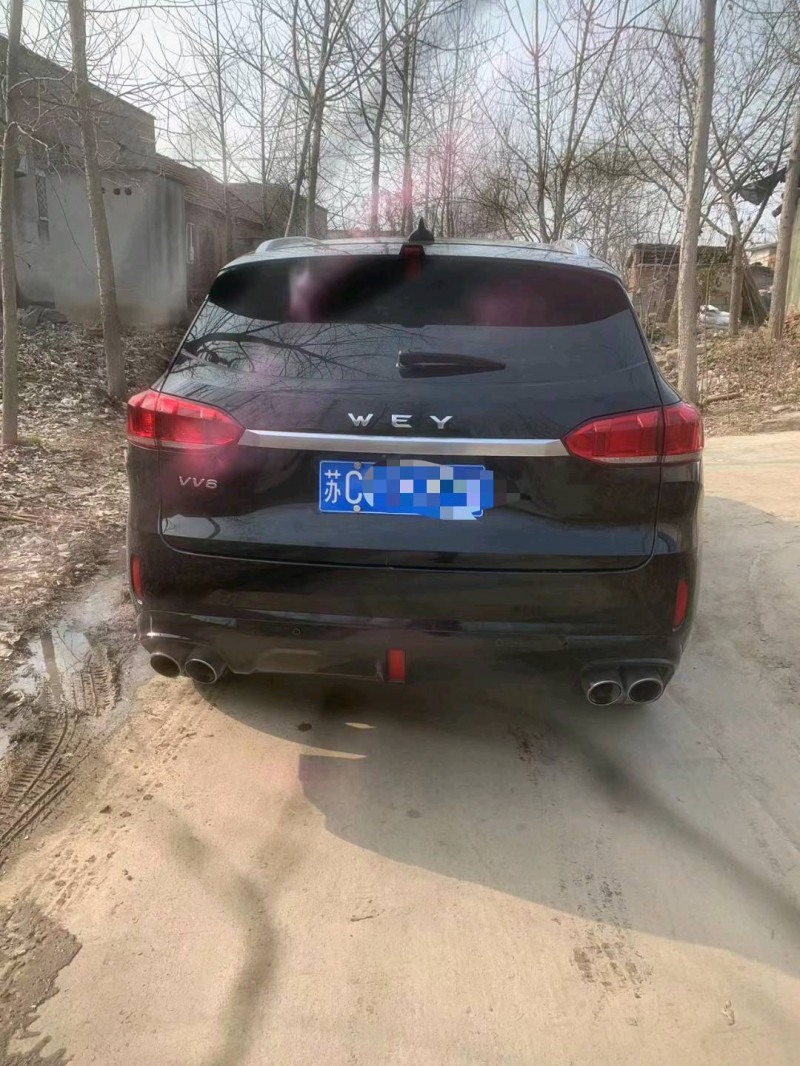 徐州19年长城VV66