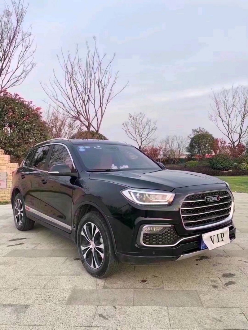棗莊18年野馬汽車T803