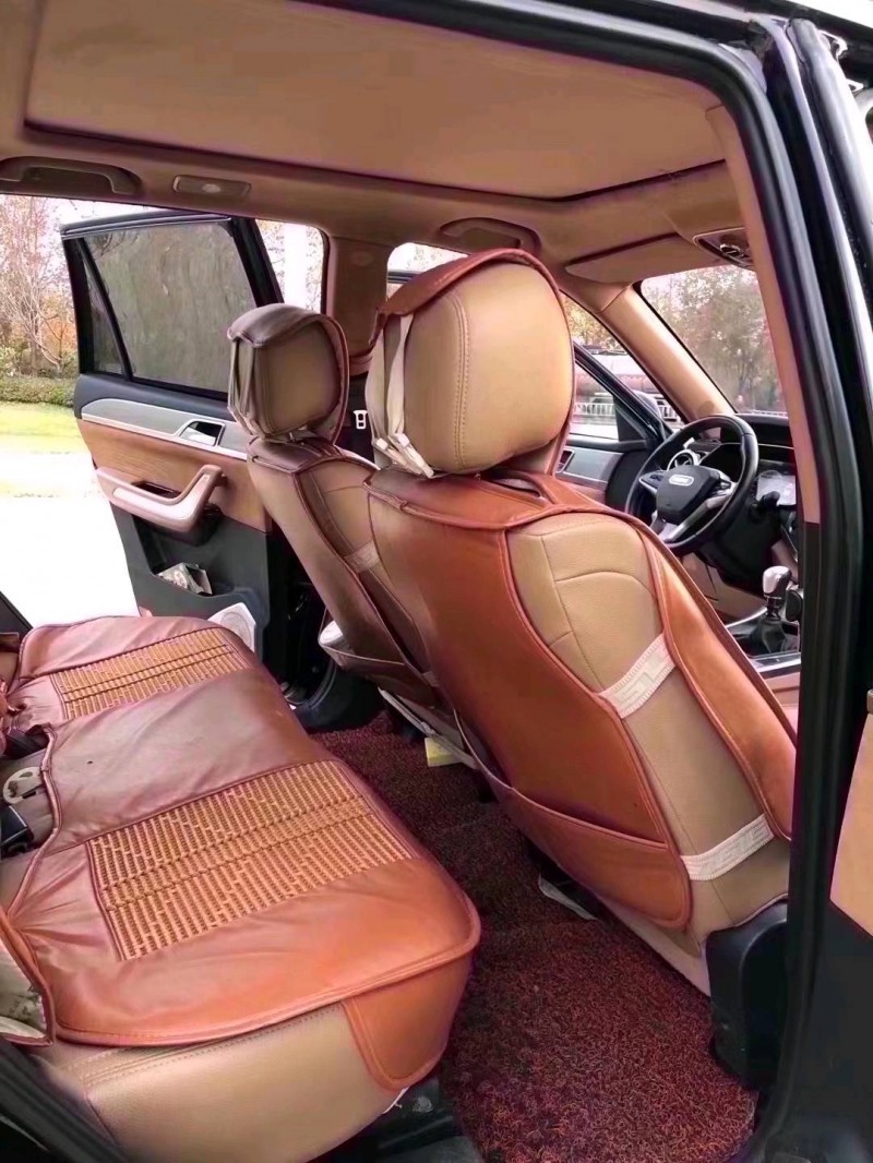 棗莊18年野馬汽車T804