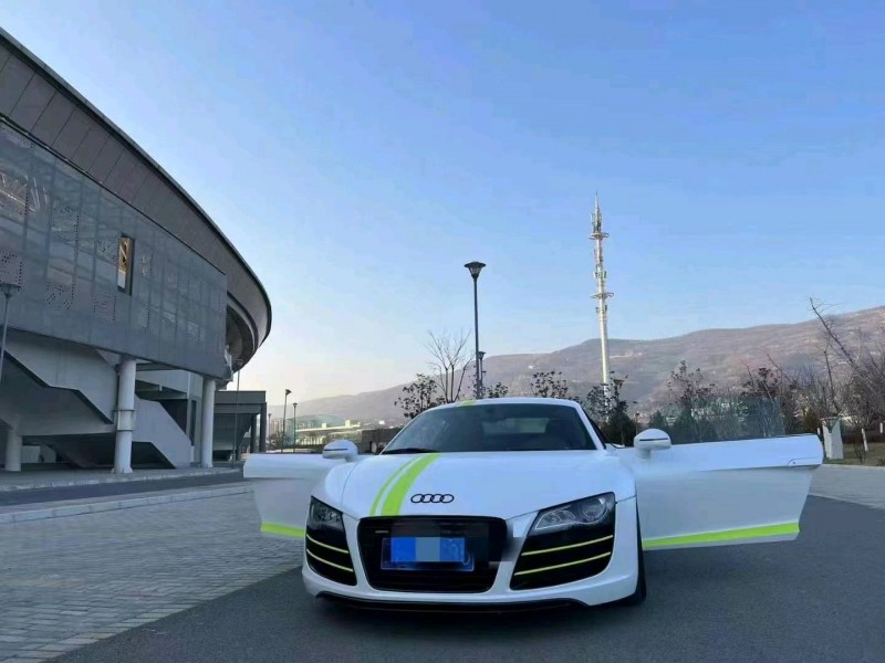 武威12年奧迪R81