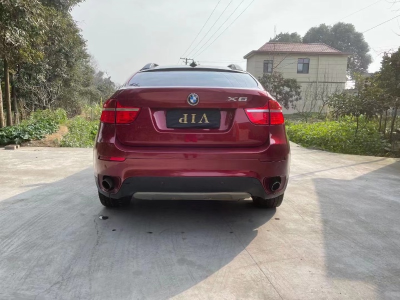 樂山12年寶馬X62