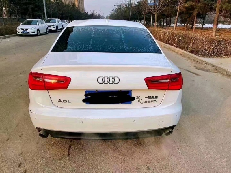 大同14年奧迪A65