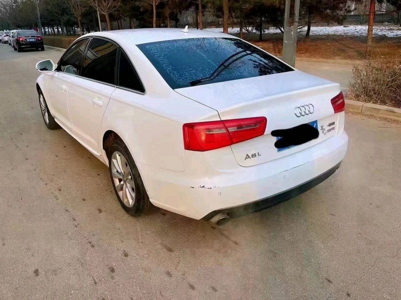 大同14年奧迪A66