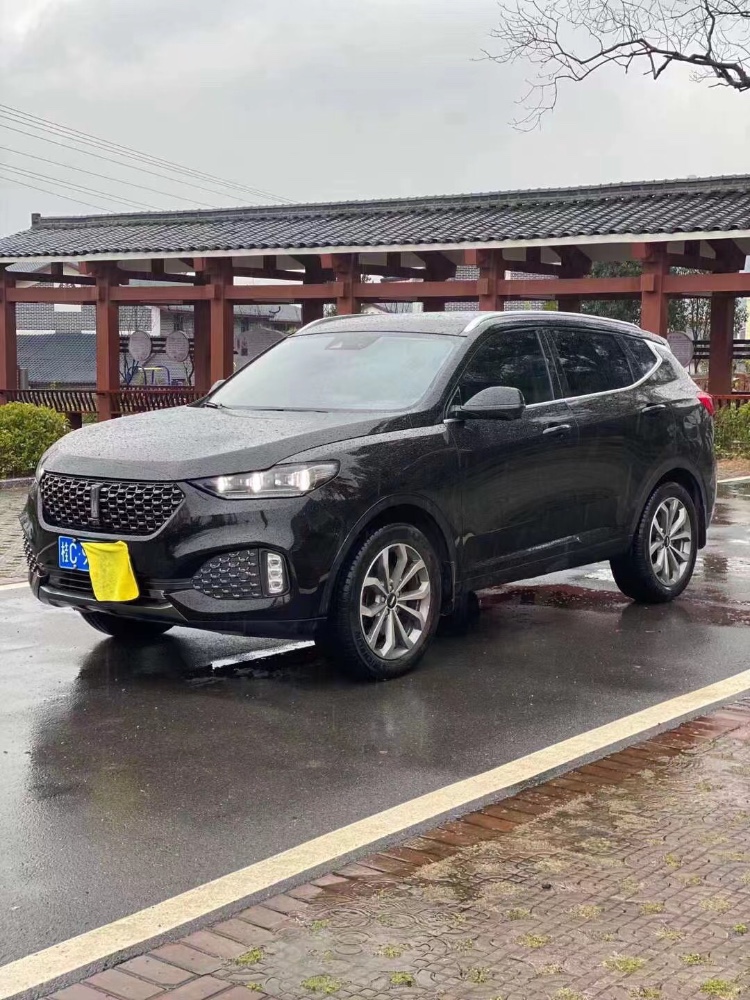 青島20年長城VV62