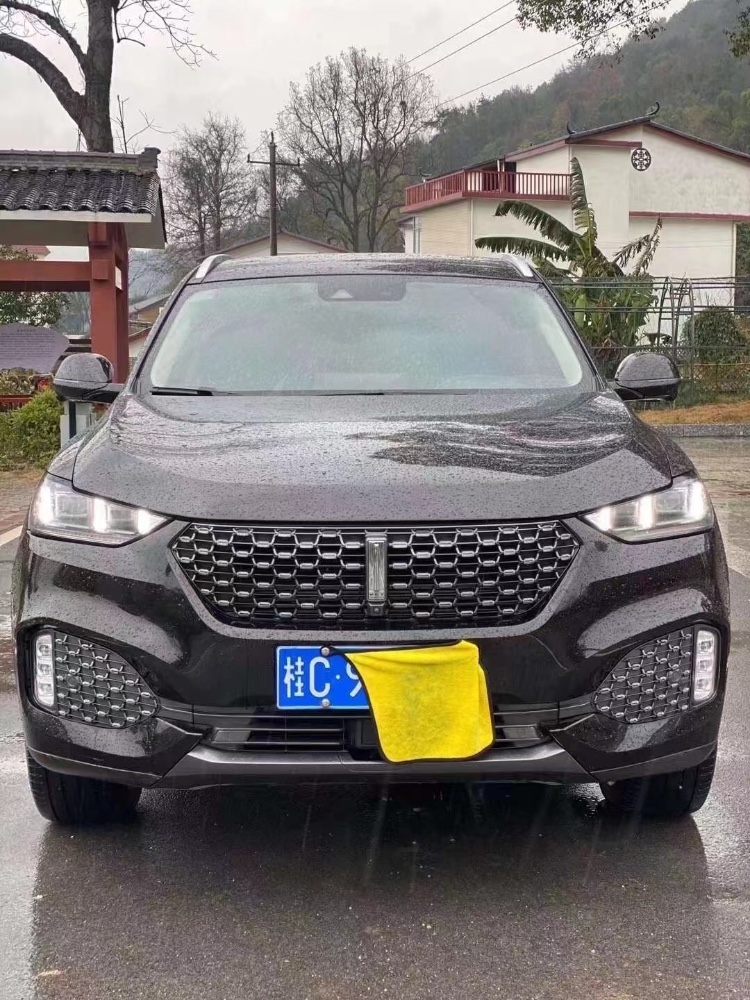 青島20年長城VV61