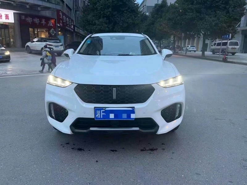 湘潭17年長城VV71