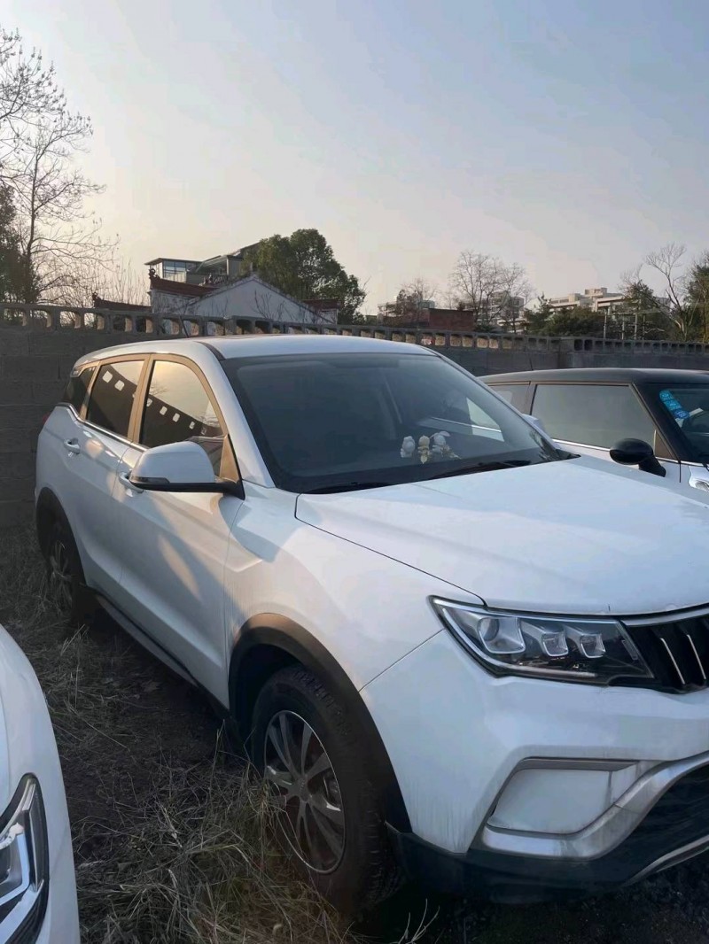 金華21年野馬汽車博駿2