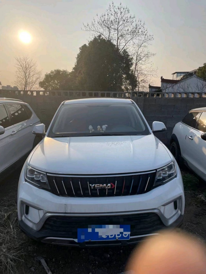 金華21年野馬汽車博駿1