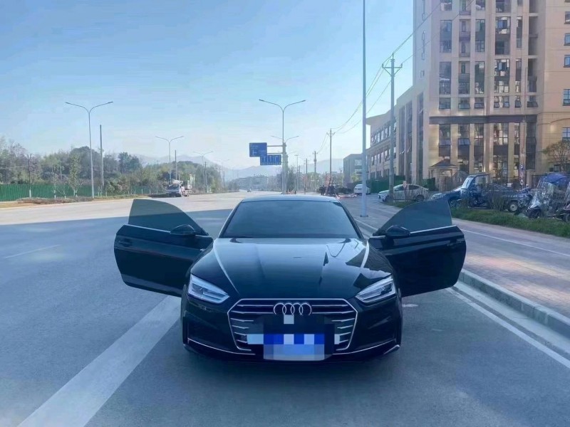 宜昌18年奧迪A51