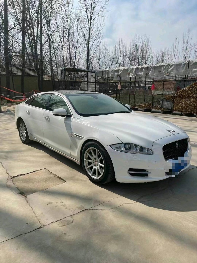 泰安14年捷豹XJL2