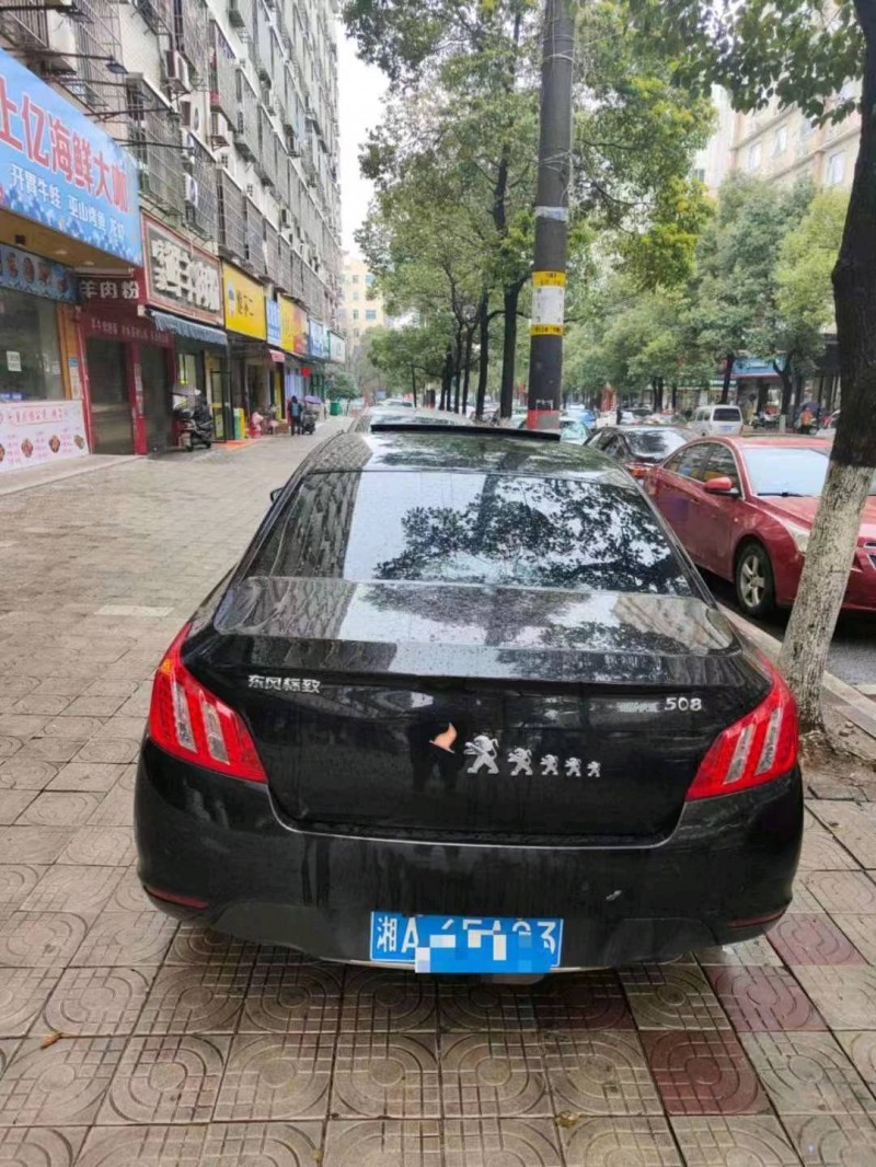 衡陽13年標致5085