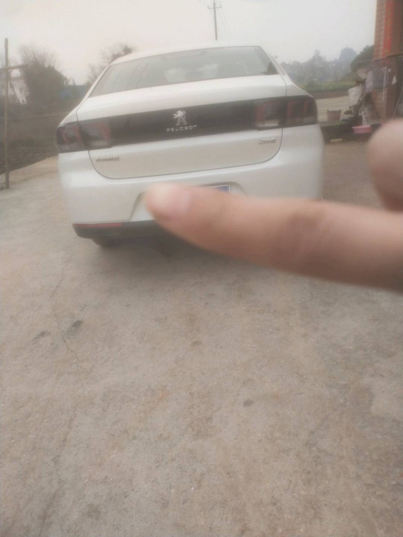 永州17年標致3082