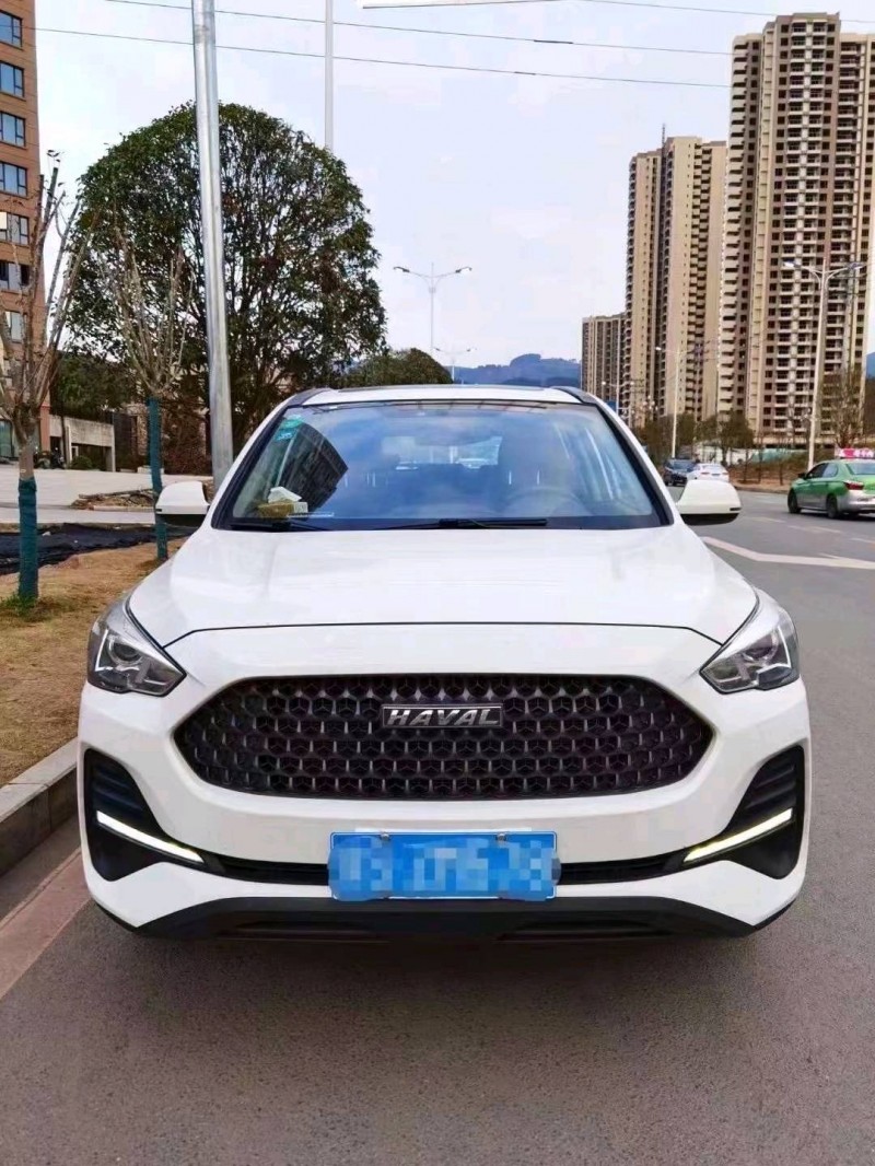 綿陽20年哈弗M61