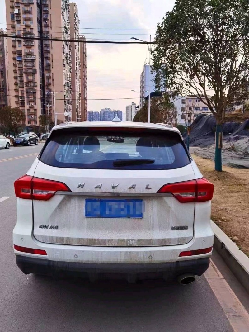 綿陽20年哈弗M66