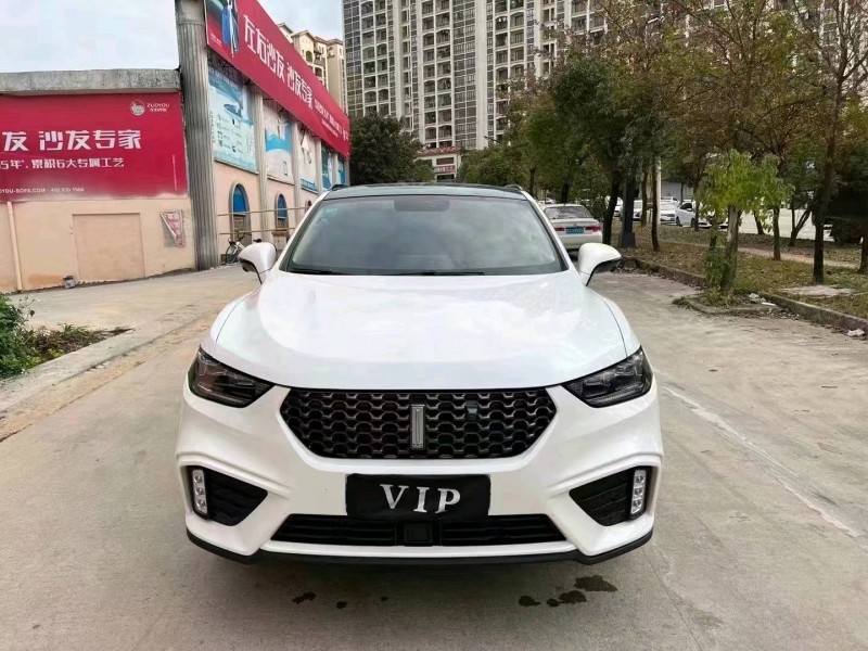 汕頭20年長城VV51