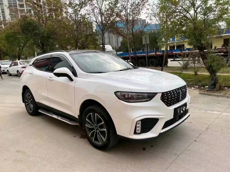 汕頭20年長城VV53