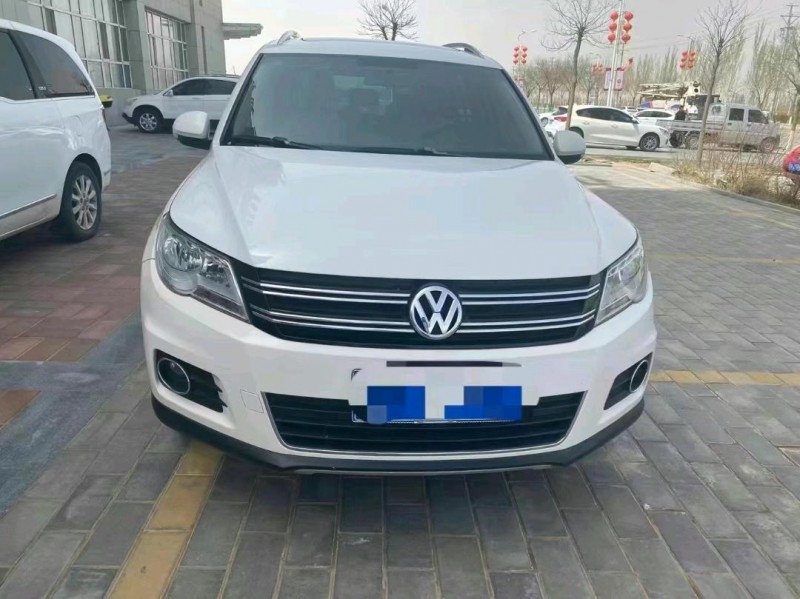 延安11年大眾途觀1