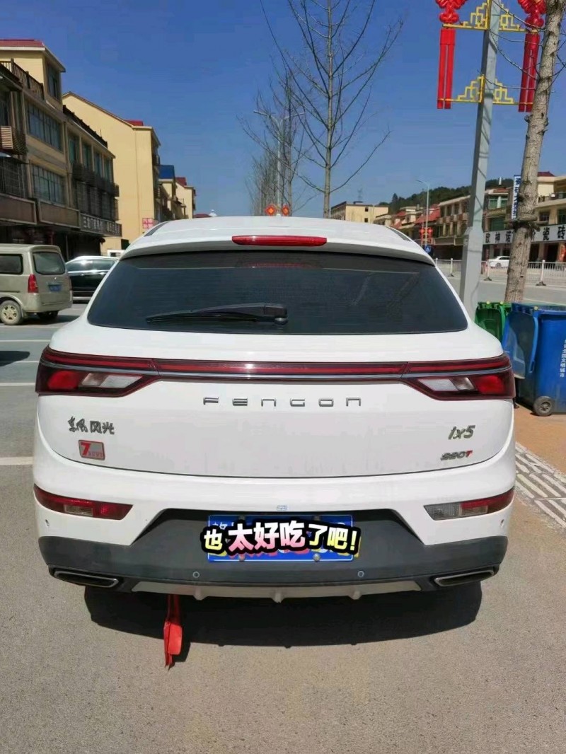 宜春19年東風風光2