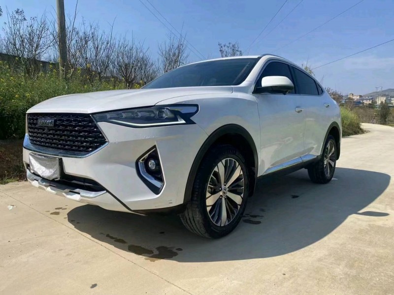 保山20年哈弗F7x6