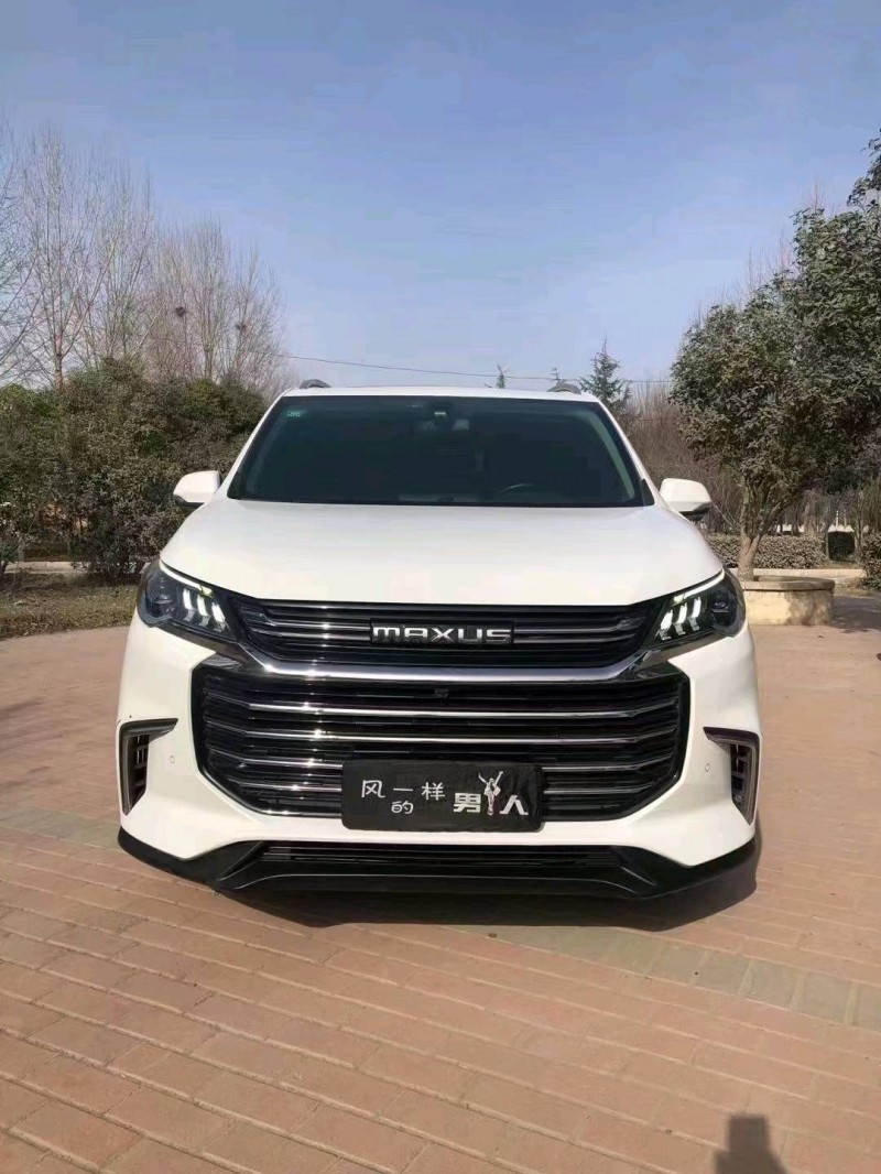 安陽19年大通G501